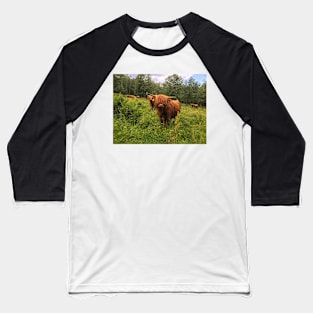 Scottish Highland Cattle Calf 2031 Baseball T-Shirt